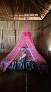 Dorey Dive Homestay - 2
