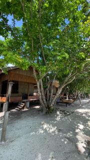 Dorey Dive Homestay - 1