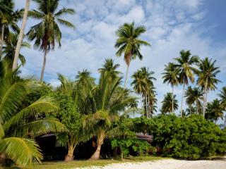 Nunukan Island Resort - Maratua Atoll - 4