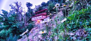 hotel chakrata green and camping - 5