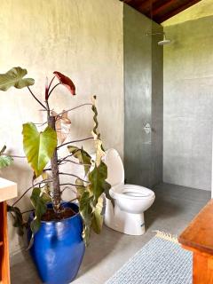 Modern Seseh House in Bali - 3