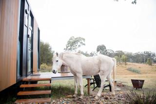 Bundaleer Tiny House 2 by Tiny Away - - 9