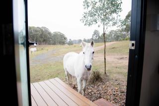 Bundaleer Tiny House 2 by Tiny Away - - 1
