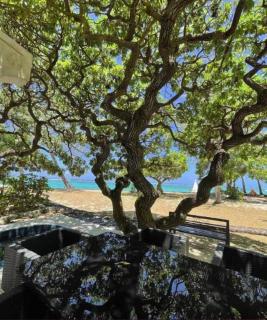 Villa No2 - Sun Tan Palmar - Belle Mare - 8