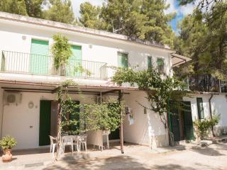 Apartment in Vieste, a drive away from the sea - Vieste - 8