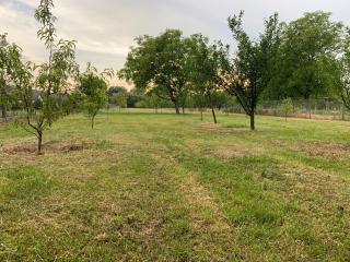 Martin Vendégház -  - 2