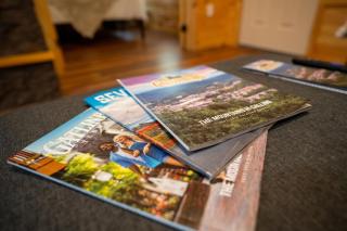 282 Cozy Cub - Gatlinburg - 1