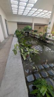 Kacey's Oceanview Condo - Portmore - 9