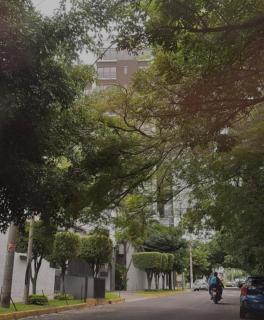 Un lugar especial en San Salvador - San Salvador - 9