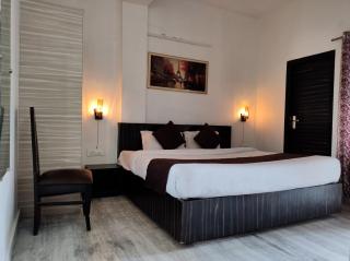 Ritz The Boutique Hotel - Rohtak - 8