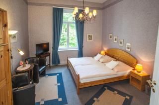 Hotel Rosenau - 9