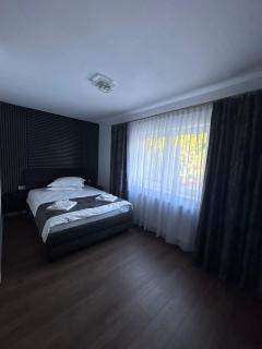 Vila Mișu - Dobra - 2