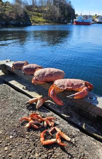 The Boathouse Retreat - Family-Friendly & Near the Beach - 40 min from Bergen - Herdla - 5