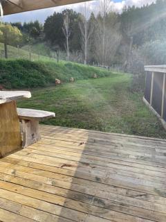 Puhoi Studio - Puhoi - 5
