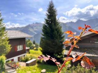 Revier mon désir - Braunwald - 5