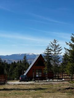 Cabană Panoramic Aframe - 0