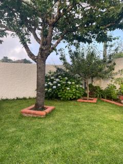 La Casa delle Ortensie Guest House - 4