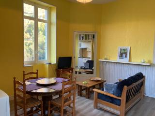 Cosy and bright apartment in Eaux-Bonnes center - 6