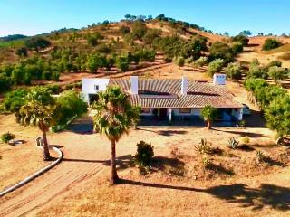 Luxe villa for 8 - Private Pool -AC -BBQ Area - Patio - 160Mbps - Olives - Palm - vineyard - Santa Luzia - 4
