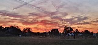 BrackenXcapes Glamping - Newark-on-Trent - 8