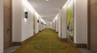 GreenTree Inn Guiyang Wudang District High-speed Railway East Station - Guiyang - 2