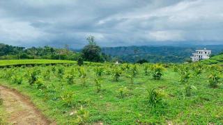 CALVARY MOUNT WiLD HOME'S - 3