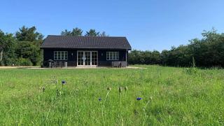 1136-Ringkobing-Hovervej-61 - 0