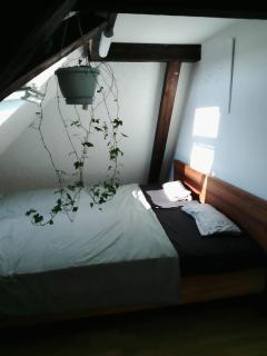 Bequemes, ruhiges Zimmer mit Doppelbett in der Nähe des Zentrums und des Bahnhofs - Binningen - 0