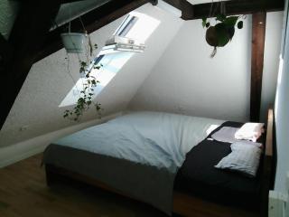 Bequemes, ruhiges Zimmer mit Doppelbett in der Nähe des Zentrums und des Bahnhofs - Binningen - 7