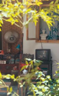 Phoenix Persimmon Courtyard - Fenghuang - 7