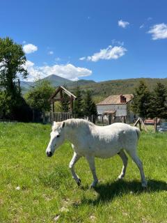 Il Cottage - Castel di Sangro - 5