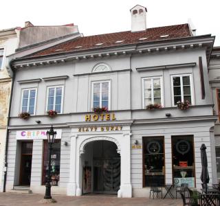 Boutique hotel Zlaty Dukat - 0