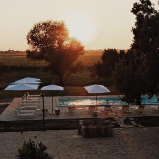 Nekresi Estate - Qwareli - 9