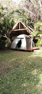 Yellowwood Forest Eco Retreat - Morganʼs Bay - 3