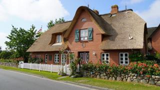 Ferien unterm Reetdach Whg 01 - 0
