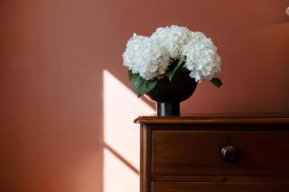 Cape Finest - De Waterkant House - 4