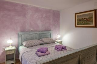 Villa Lastavica pod Ruzon, two beautiful villas in the heart of Istria - Heki - 4