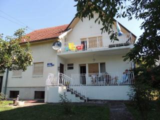 Lestra sobe i apartman - Sokobanja - 9
