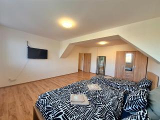 City Center Apartments - Fontána Obilní trh - 6