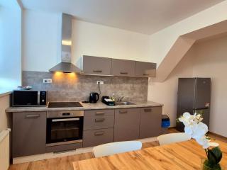 City Center Apartments - Fontána Obilní trh - 8