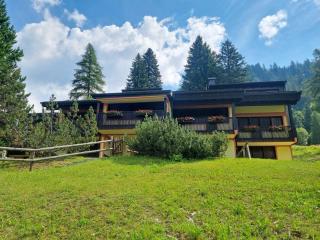 CACCIATORA Alpine Apartment MhD - Madonna di Campiglio - 3