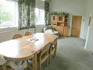 The Waiting Rooms - 8