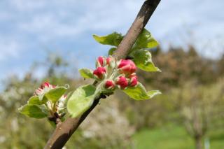 Ferienhof Fischer - 3