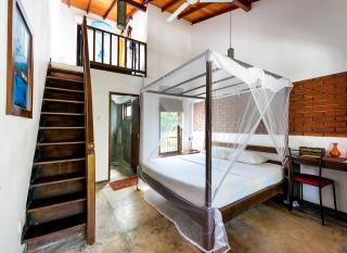 Lion's Rest - Weligama - 6