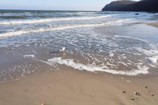 Villa Strandperle, App 09, nur 20m zum Strand, TOPLAGE - 9