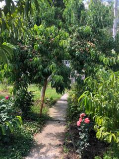 Номер з кондиціонером - 1