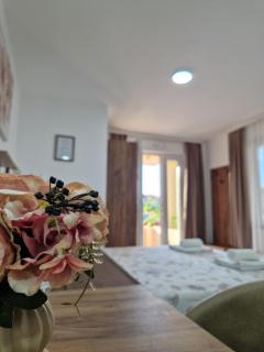 Apartmani Nataly M2 - Veliko Gradište - 8