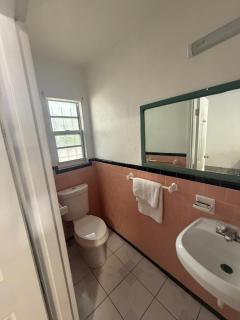 Antigua Motel by OYO Tampa US - 41 - Tampa - 1