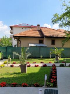 Apartmani Nataly M2 - Veliko Gradiste - 8