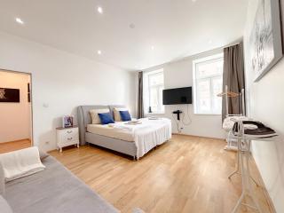 LIV ON 3 Schlafzimmer, TV, vollausgestattete Küche - Vienne - 7
